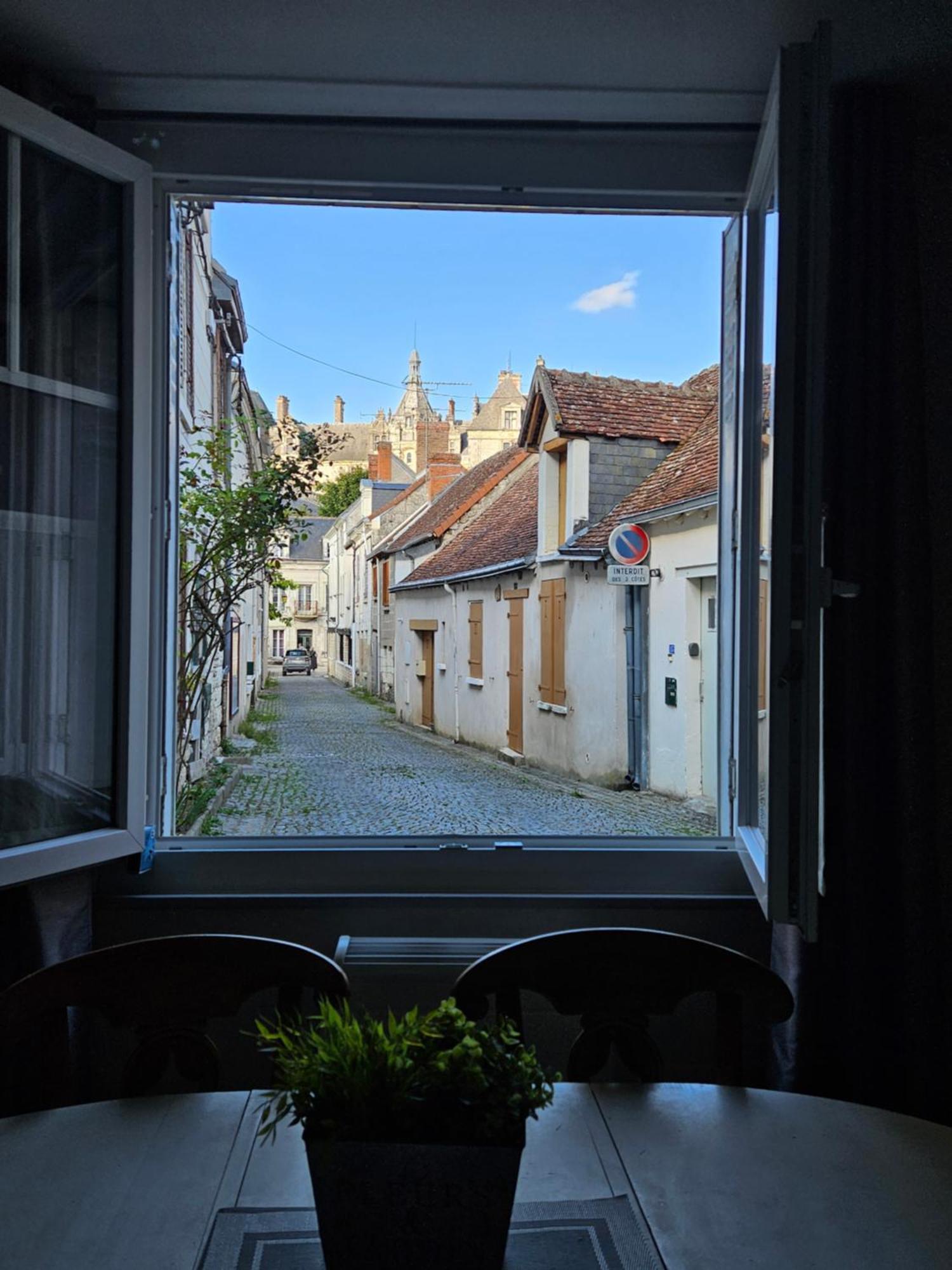 Regard Sur Le Chateau Saint-Aignan  Dış mekan fotoğraf